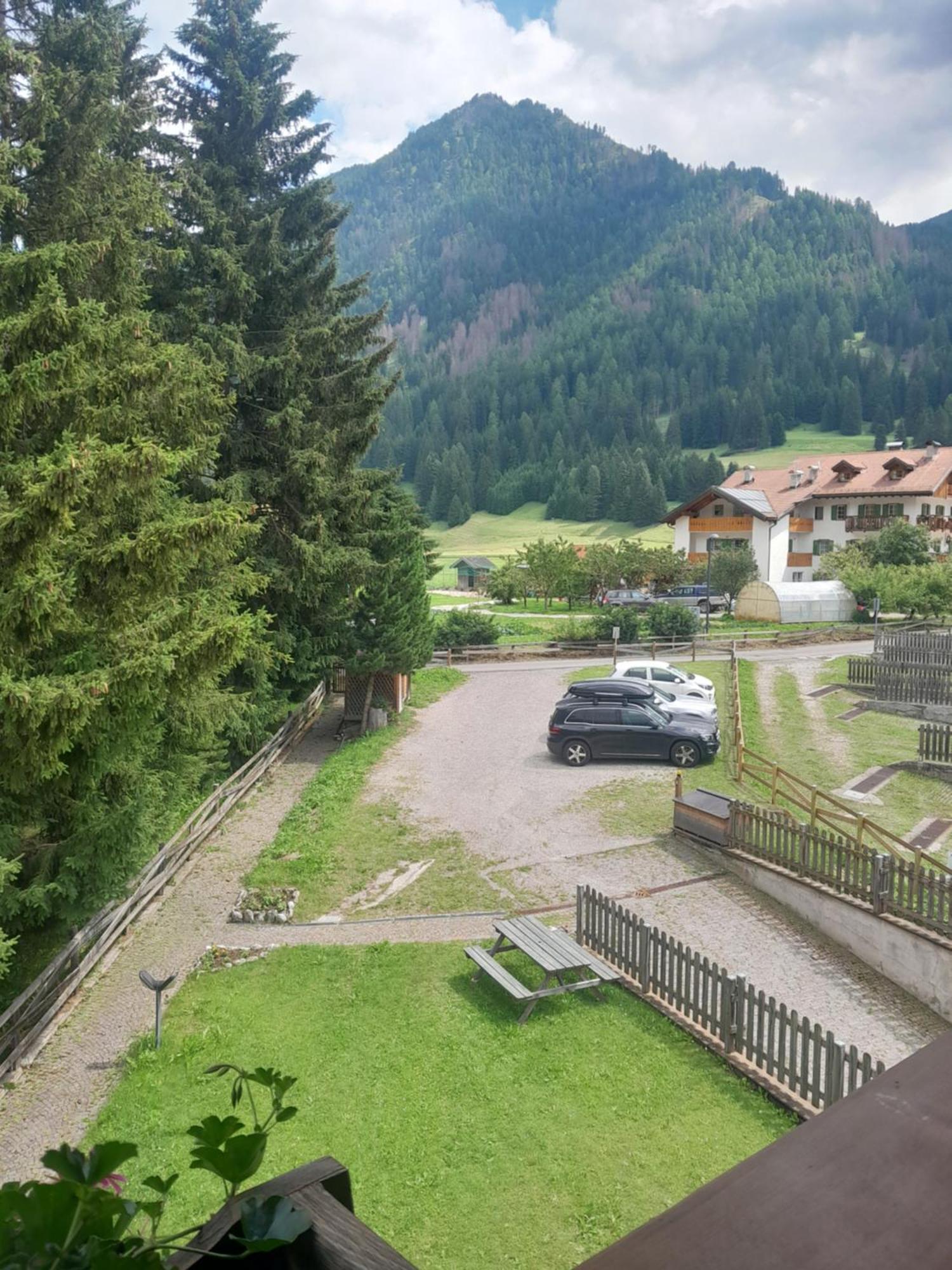 Ciasa Achillea - Cristel Luigia Lägenhet Pozza di Fassa Exteriör bild